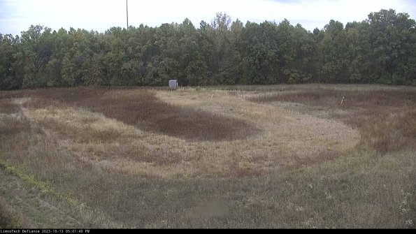 Cell 4_23-10-13_17-01-40-98