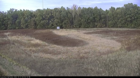 Cell 4_23-10-13_17-35-10-96