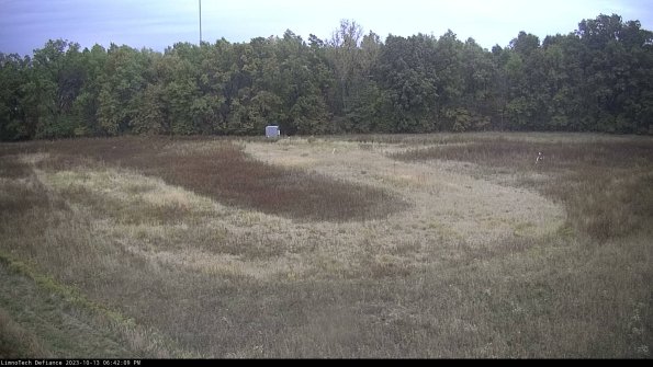 Cell 4_23-10-13_18-42-10-00