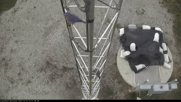 Hatch_23-10-13_10-21-28-98