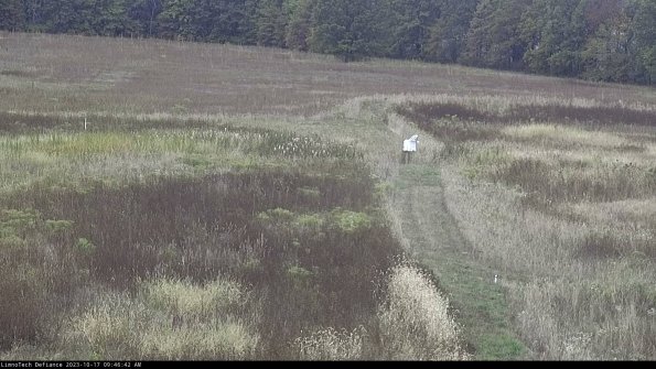 Cell 1 to 2_23-10-17_09-46-42-99