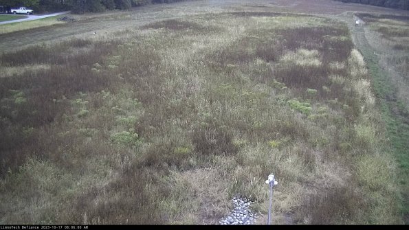 Cell 1_23-10-17_08-06-00-99