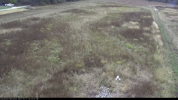 Cell 1_23-10-17_10-19-57-99