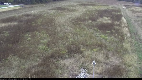 Cell 1_23-10-17_12-00-24-98