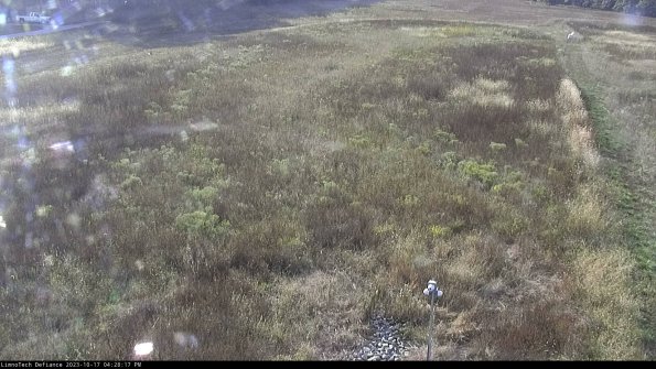 Cell 1_23-10-17_16-28-17-99