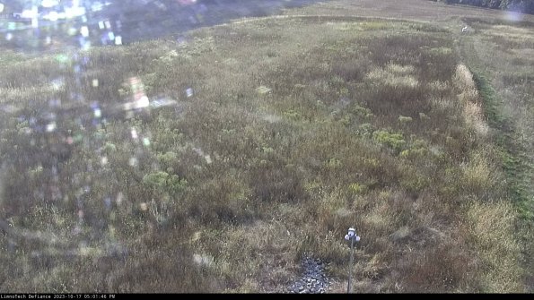 Cell 1_23-10-17_17-01-46-98