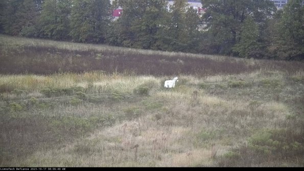 Cell 2 to 3_23-10-17_08-06-41-03