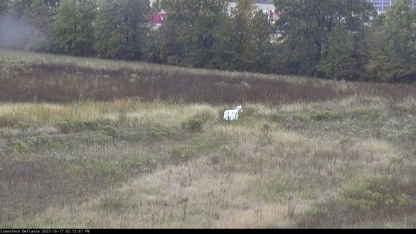 Cell 2 to 3_23-10-17_14-15-02-02