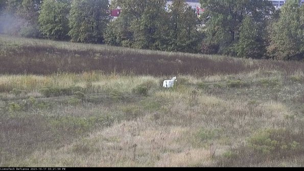 Cell 2 to 3_23-10-17_15-22-00-09