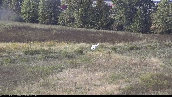 Cell 2 to 3_23-10-17_15-55-29-18