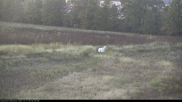 Cell 2 to 3_23-10-17_18-42-57-04