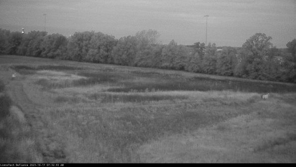 Cell 2_23-10-17_07-32-56-17