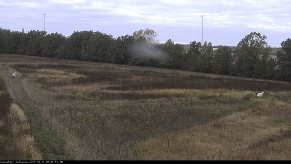 Cell 2_23-10-17_09-46-56-04