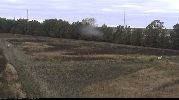 Cell 2_23-10-17_10-20-24-99