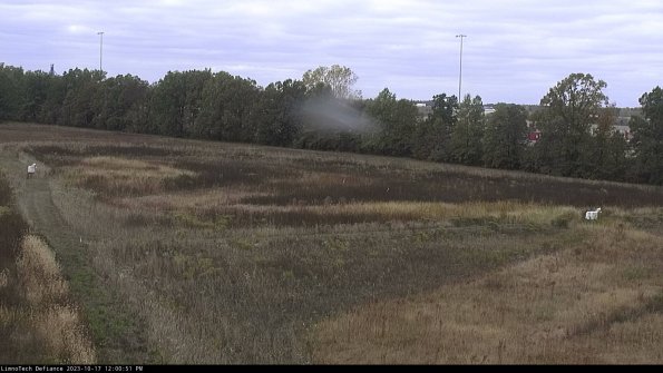 Cell 2_23-10-17_12-00-52-04