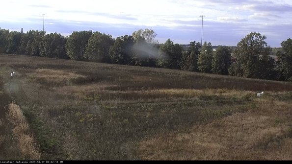 Cell 2_23-10-17_17-02-14-00