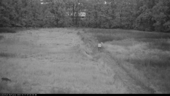 Cell 3 to 4_23-10-17_07-33-38-98