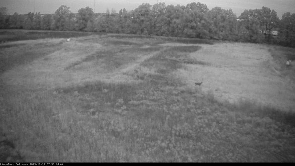 Cell 3_23-10-17_07-33-24-96