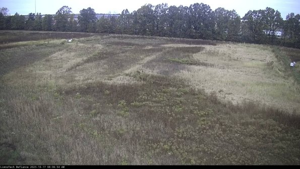 Cell 3_23-10-17_08-06-55-25