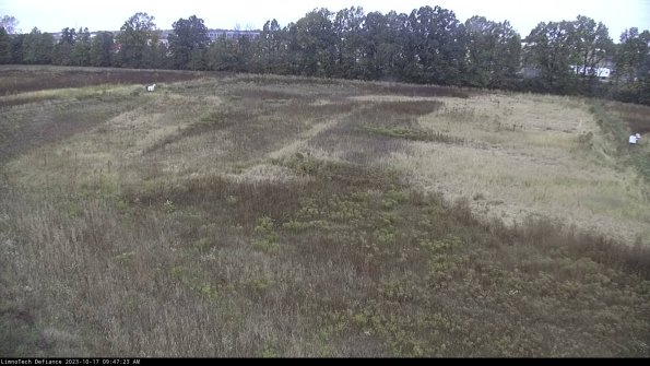 Cell 3_23-10-17_09-47-24-00