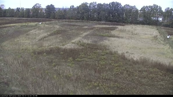 Cell 3_23-10-17_12-01-19-23