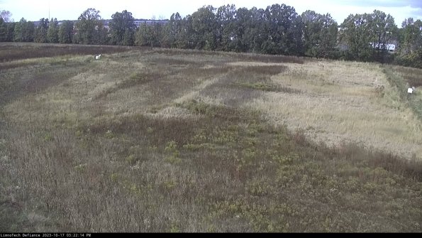 Cell 3_23-10-17_15-22-14-97