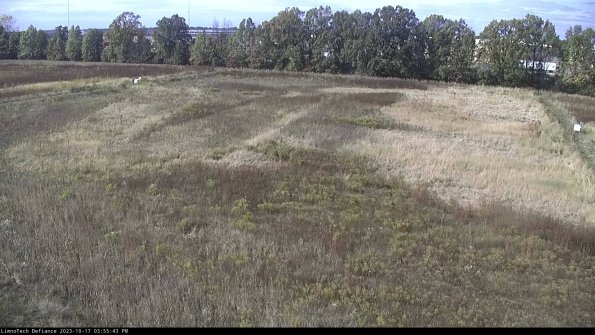 Cell 3_23-10-17_15-55-43-99