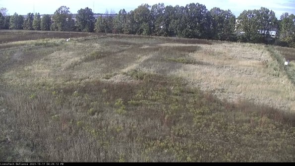 Cell 3_23-10-17_16-29-12-98