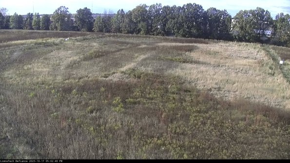 Cell 3_23-10-17_17-02-41-23