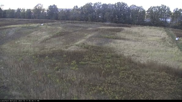 Cell 3_23-10-17_17-36-11-99