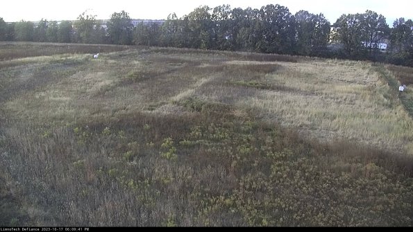 Cell 3_23-10-17_18-09-42-00