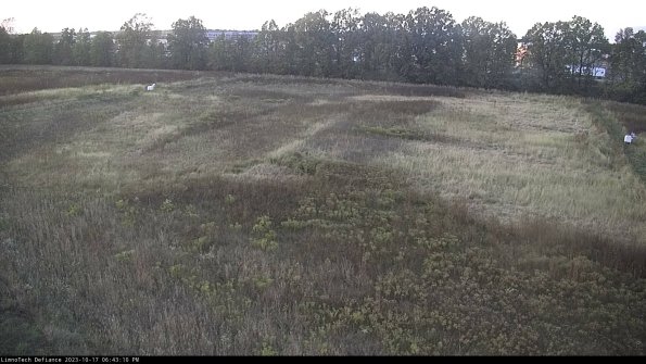 Cell 3_23-10-17_18-43-11-22