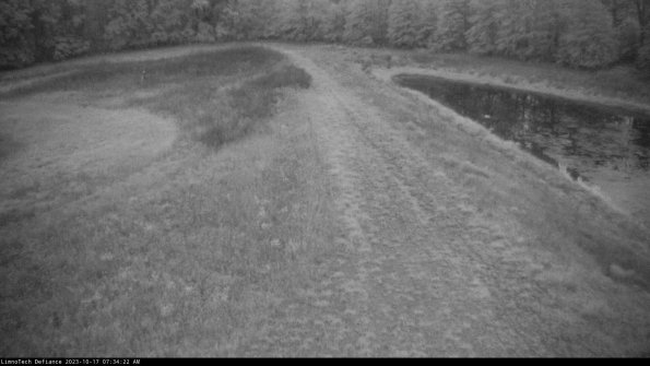 Cell 4 to Basin_23-10-17_07-34-22-99