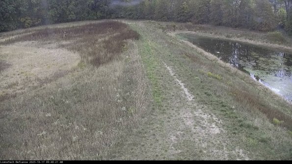 Cell 4 to Basin_23-10-17_09-48-21-99