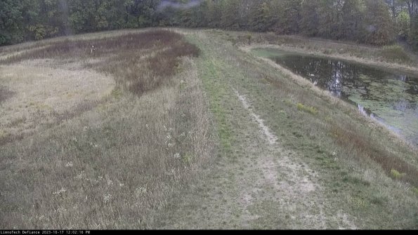 Cell 4 to Basin_23-10-17_12-02-16-99