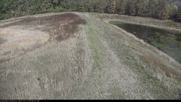 Cell 4 to Basin_23-10-17_15-56-41-98