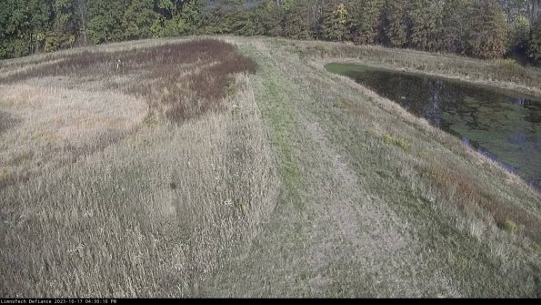 Cell 4 to Basin_23-10-17_16-30-11-00