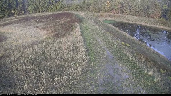 Cell 4 to Basin_23-10-17_18-10-40-00