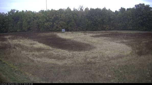 Cell 4_23-10-17_08-07-22-98