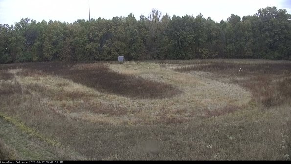 Cell 4_23-10-17_09-47-51-99