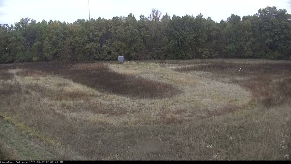 Cell 4_23-10-17_12-01-46-99