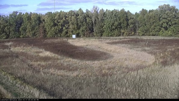 Cell 4_23-10-17_17-03-08-99