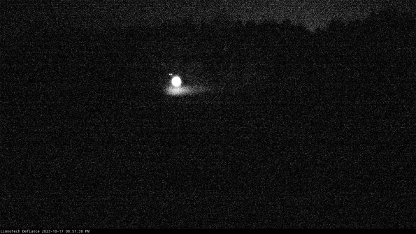 Cell 4_23-10-17_20-57-38-99