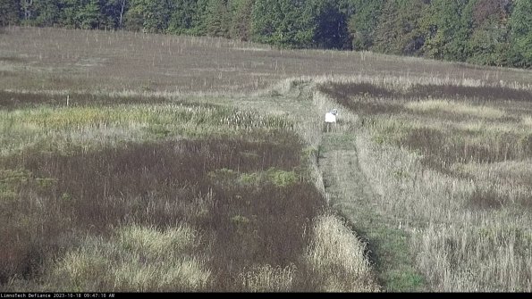 Cell 1 to 2_23-10-18_09-47-10-99