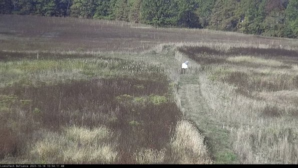 Cell 1 to 2_23-10-18_10-54-11-99