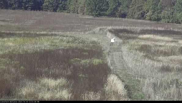 Cell 1 to 2_23-10-18_12-01-09-00