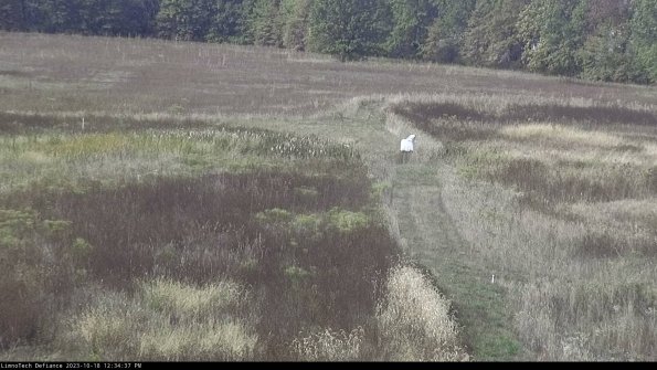 Cell 1 to 2_23-10-18_12-34-37-98