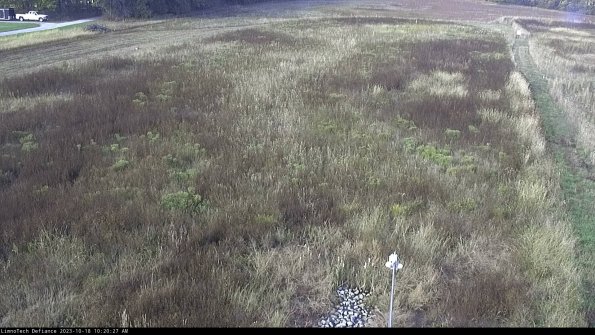 Cell 1_23-10-18_10-20-27-99