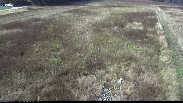 Cell 1_23-10-18_10-53-58-01