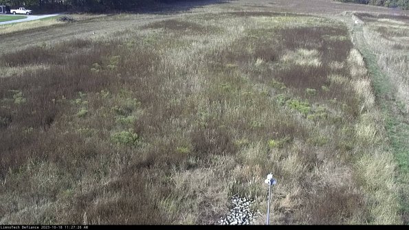 Cell 1_23-10-18_11-27-27-00